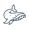 クジラのアイコン画像